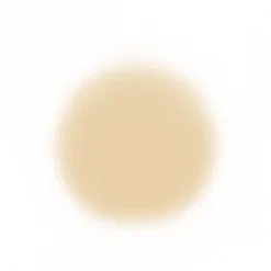 Face Temptu Perfect Canvas Hydra Lock Airpod Foundation 31 Face Temptu Perfect Canvas Hydra Lock Airpod Foundation