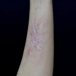 Out Of Kit Healed Burn Scar 3 Special FX