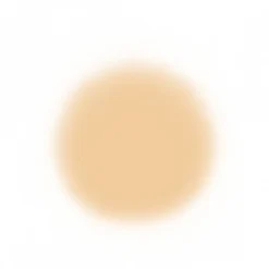 Face Temptu Perfect Canvas Hydra Lock Airpod Foundation 34 Face Temptu Perfect Canvas Hydra Lock Airpod Foundation