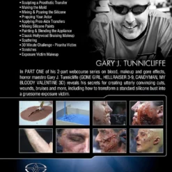 Stan Winston Studio Blood, Gore & Makeup FX (DVD)