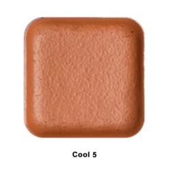 Special FX European Body Art Encore SKT Palette Refill