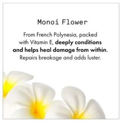 New Fekkai Shea Butter Intense Mask 11 New Fekkai Shea Butter Intense Mask