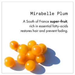 Fekkai Technician Color Treatment Powerful Flash Mask