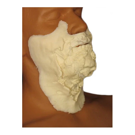 Special FX Rubber Wear Large Zombie Mouth #2 Foam Latex Prosthetic 1 Special FX Rubber Wear Large Zombie Mouth #2 Foam Latex Prosthetic