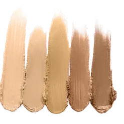 Face Cinema Secrets Ultimate Foundation 300 Series