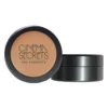 Face Cinema Secrets Ultimate Foundation 300 Series